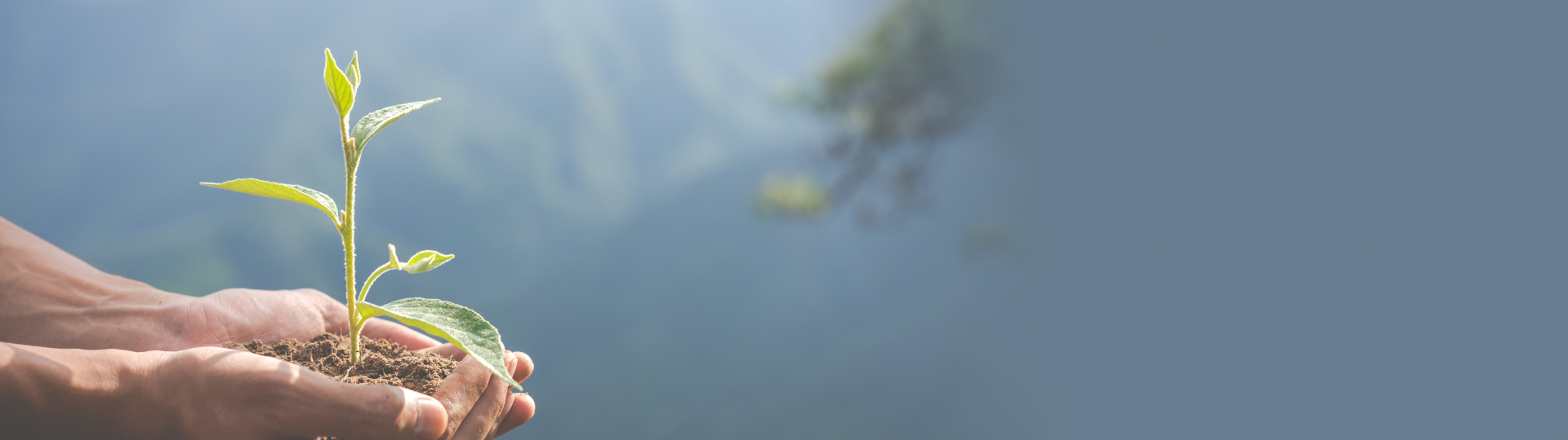 about us banner img